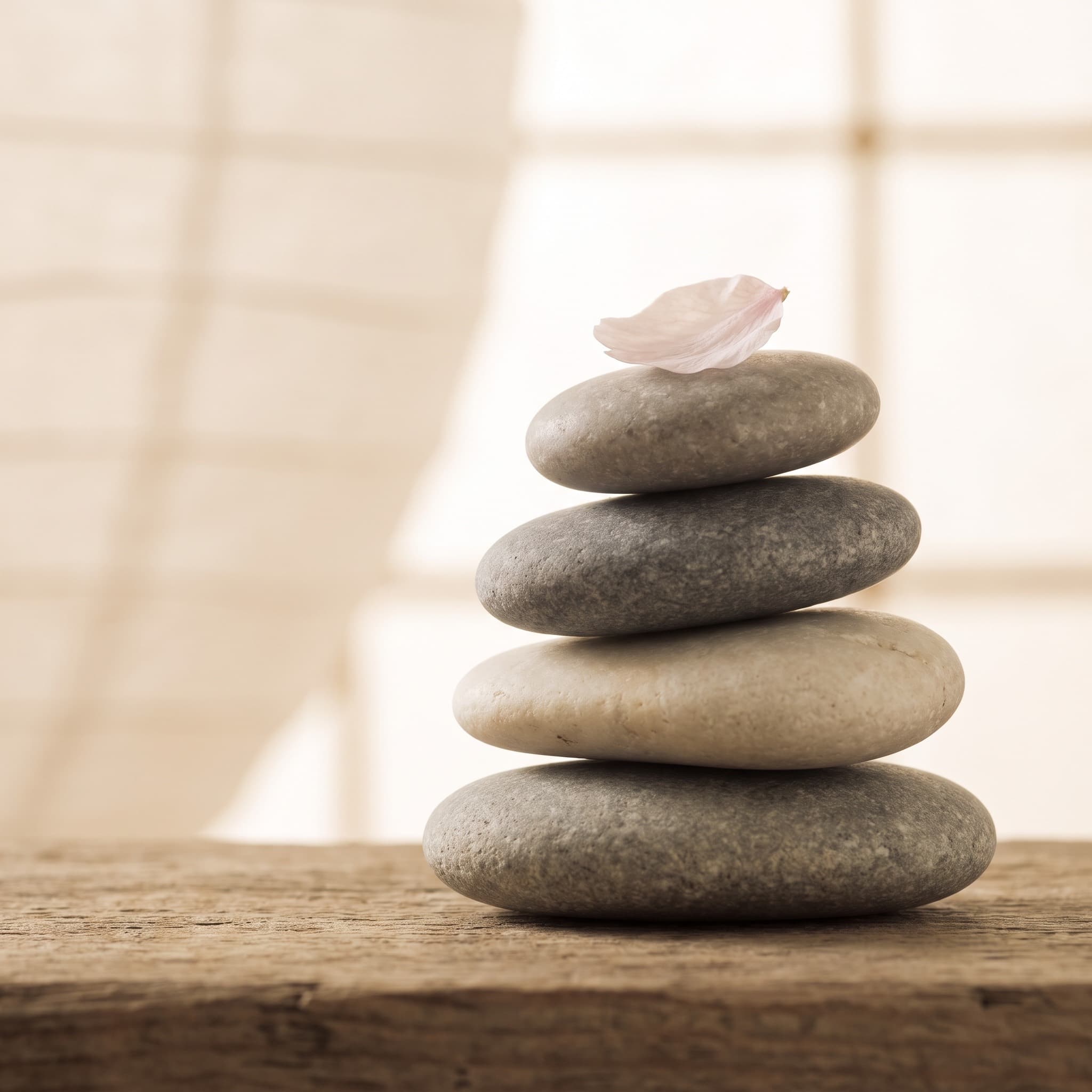 Stacked zen stones with a sakura petal resting on top